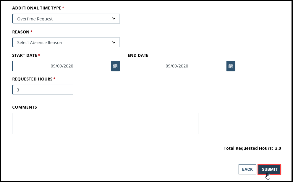 Screenshot of Additional Time page with Submit button highlighted