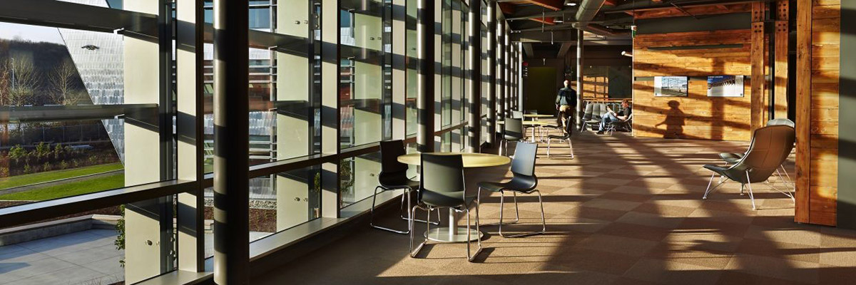 Interior wood-lined curved hallway with tables and chairs and sunlight streaming in
