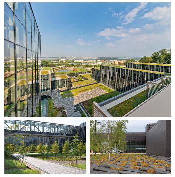 Photo showing green roof plantings at Coast Guard HQ Building and land ports of entry