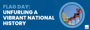 Flag Day 