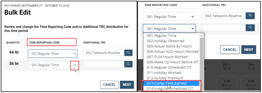 timesheet labor codes 