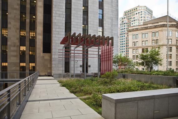 Image of the green roof of McCormack FOB in Boston with a walkway, seating and a pergola.