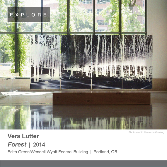 Vera Lutter Forest