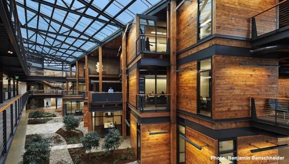 A wooden building with black exposed steel beams and a glass ceiling and a courtyard with a pathway, trees, and bushes