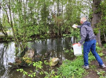 Blake Smith (Puyallup Tribe of Indians Fisheries Division Enhancement Chief) feeding fish in the natural pond at Clarks Creek.