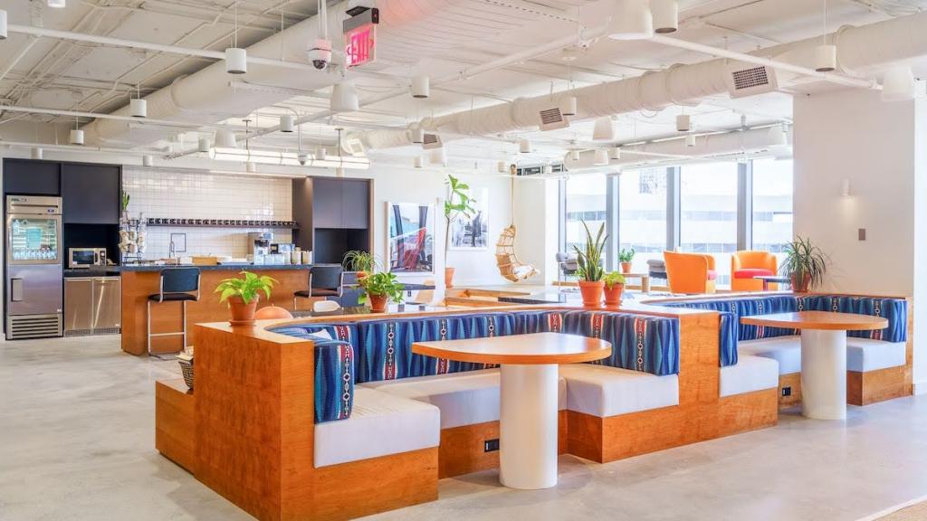 Colorful booths with patterned cushions and a kitchen and bar at the far wall; potted plants are scattered throughout the area and windows line the far wall.